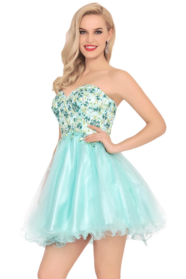 2024 Homecoming Dresses A-Line Boat Neck Short/Mini Beaded Bodice Tulle