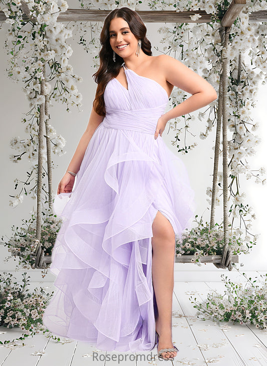 Marin Ball-Gown/Princess Asymmetrical One Shoulder Floor-Length Tulle Prom Dresses DSP0025867