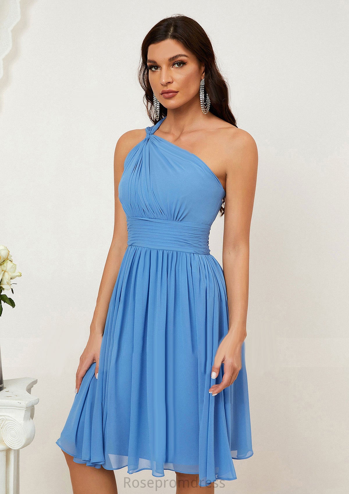 A-line One-Shoulder Sleeveless Chiffon Knee-Length Bridesmaid Dresses With Pleated Abby SRSP0025612