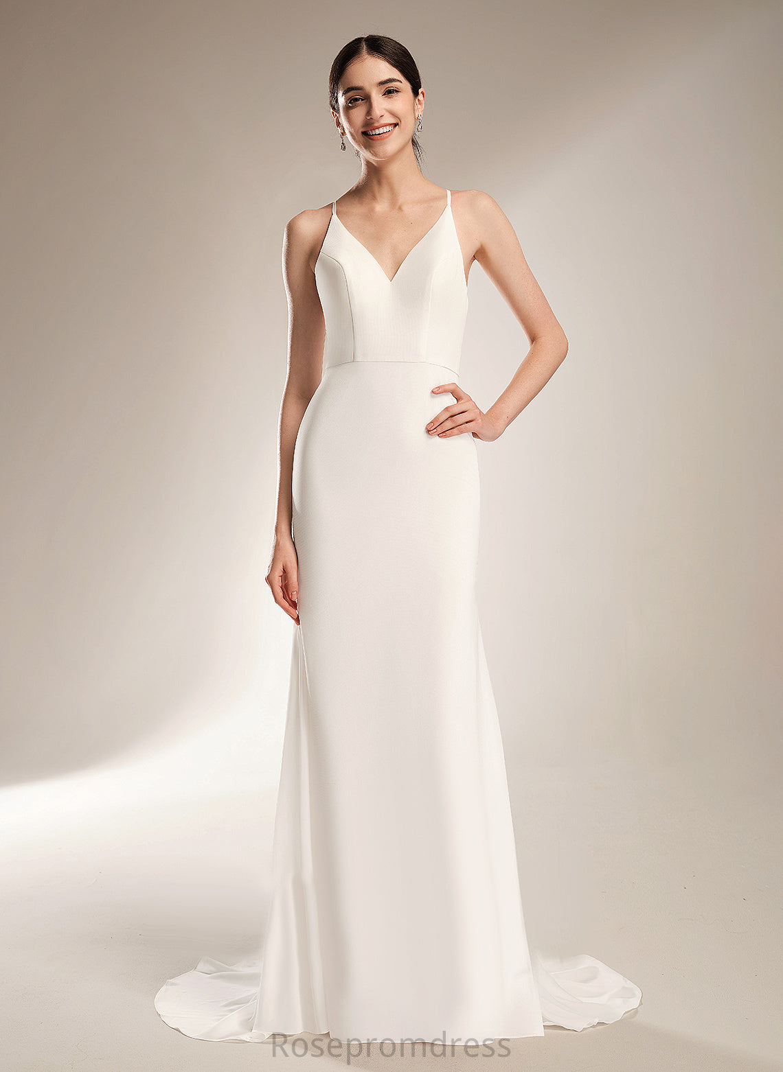 Chiffon Jan Lace V-neck Dress Wedding Dresses Wedding Court Train With Sheath/Column