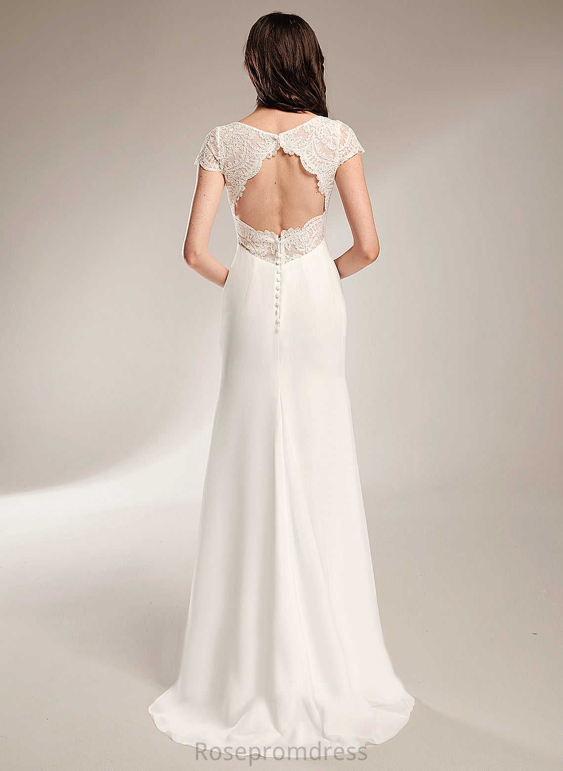 Wedding Chiffon Sheath/Column Train Lace Erica Wedding Dresses V-neck With Sweep Dress