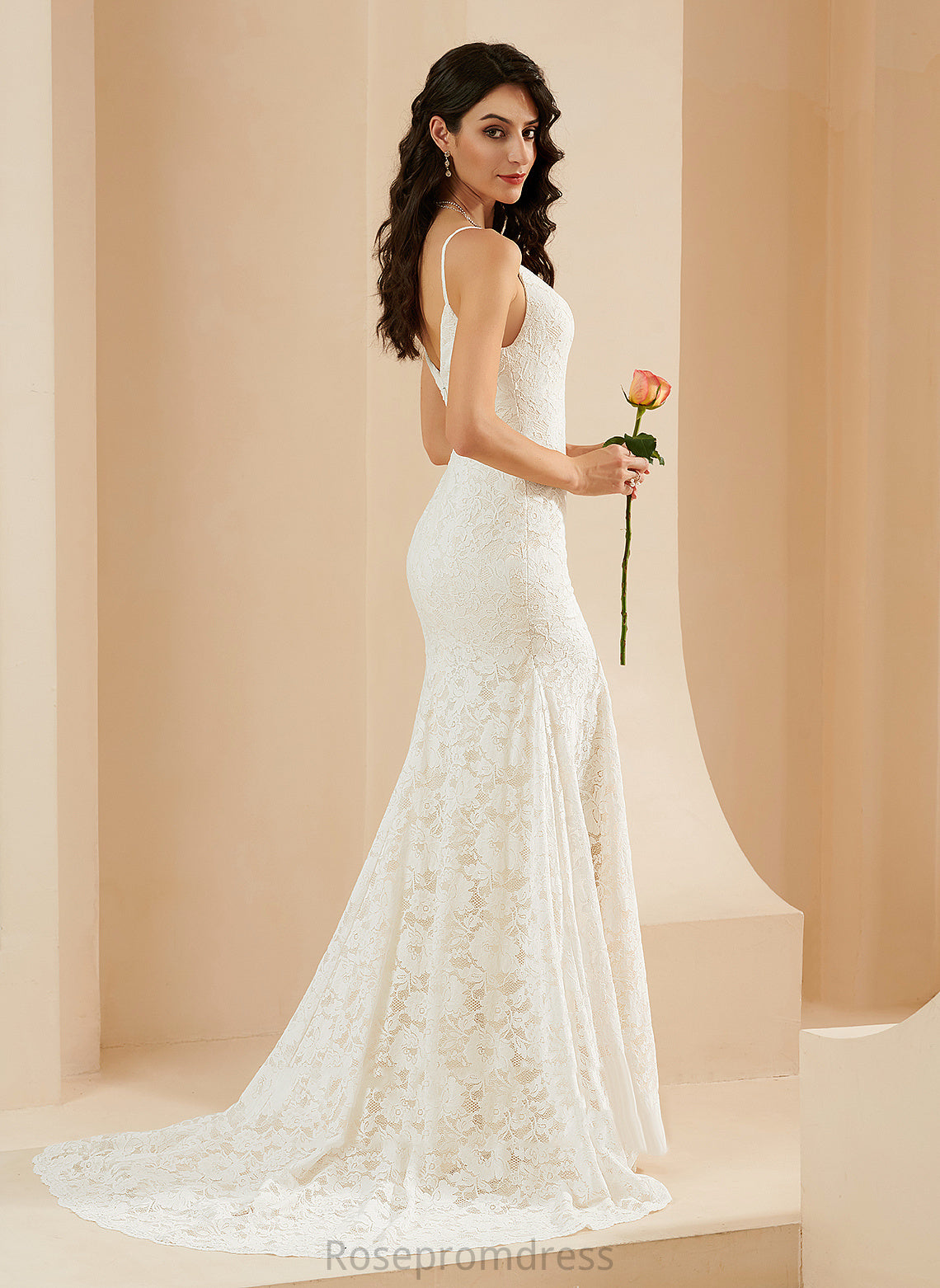 Kyla V-neck Lace Court Trumpet/Mermaid Dress Wedding Wedding Dresses Train