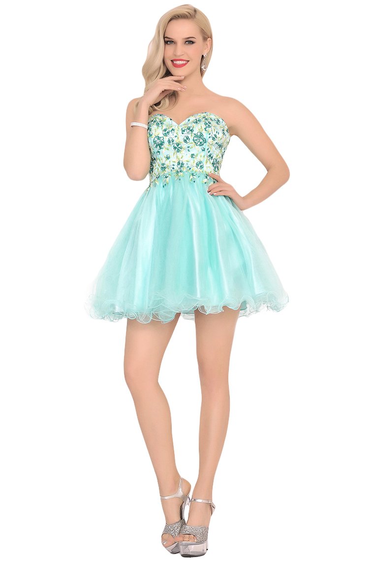 2024 Homecoming Dresses A-Line Boat Neck Short/Mini Beaded Bodice Tulle