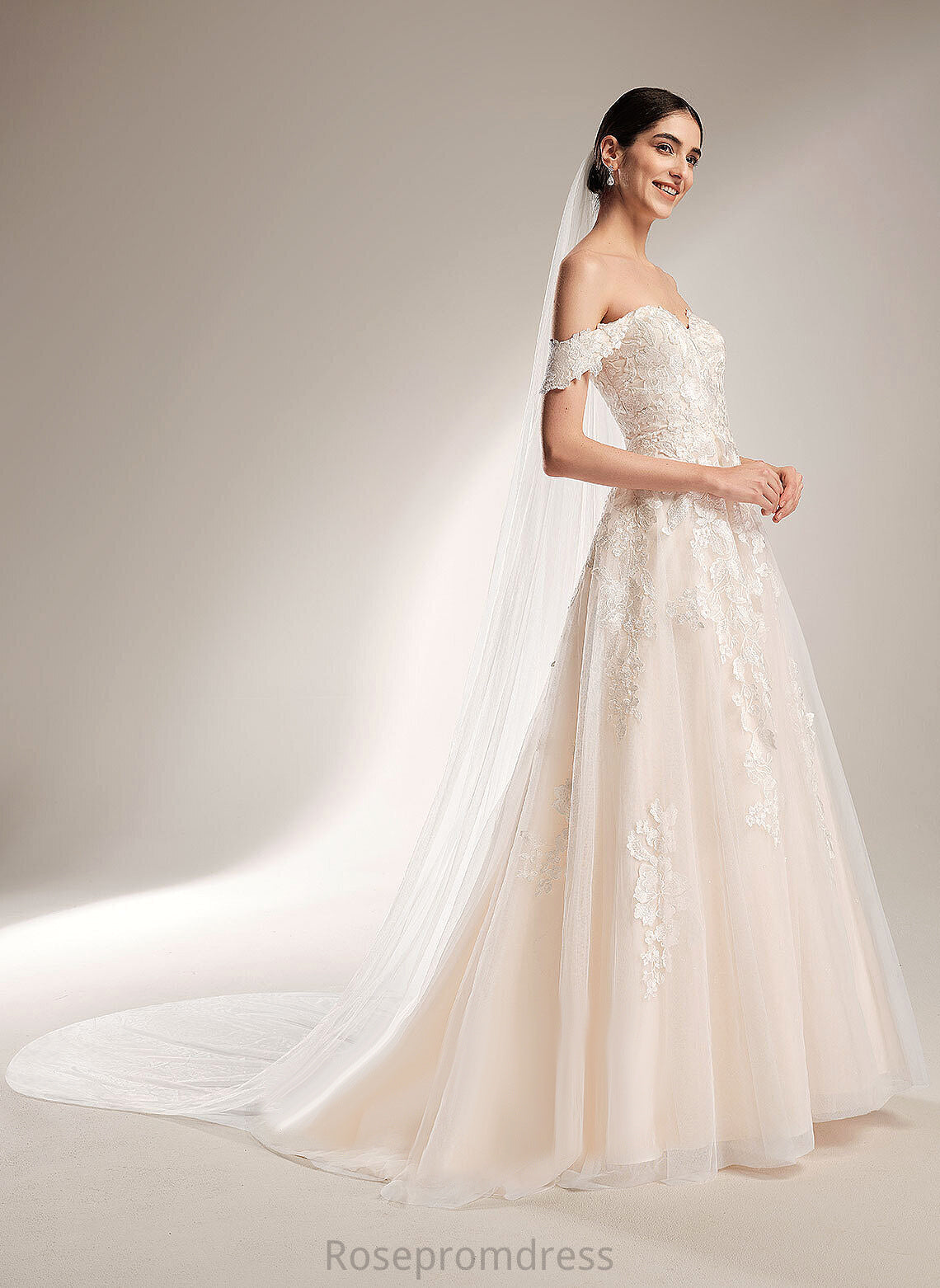 Off-the-Shoulder Lace Chapel Wedding Dresses Wedding Train Ivy Dress Tulle Ball-Gown/Princess