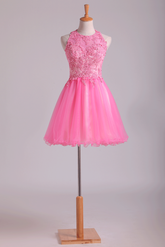 2024 Lovely Homecoming Dresses Scoop A Line Short Tulle With Applique