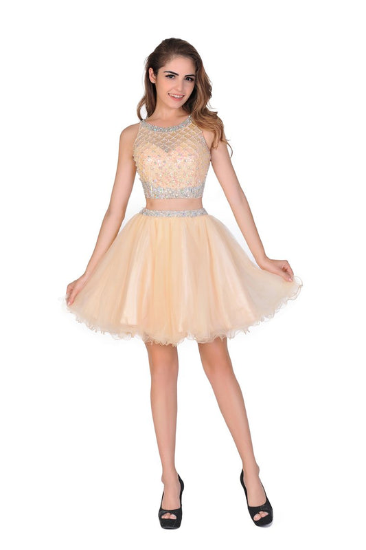 2024 A-Line Homecoming Dresses Short/Mini Scoop Beaded Bodice Tulle