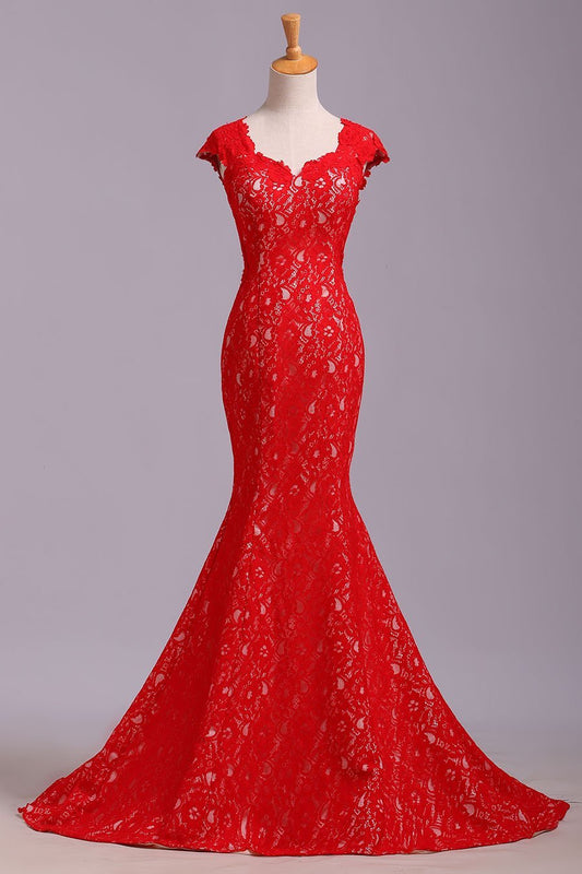 Elegant Red Sweetheart Mermaid Lace Cap Sleeve Open Back Prom Dress Party Dresses RS175